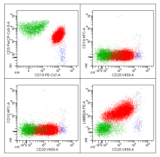 Image of flow cytometry analysis