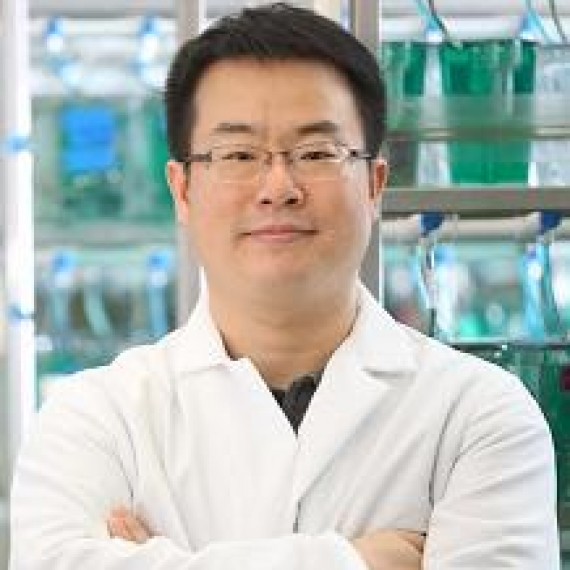 Portrait of Donghun Shin, PhD