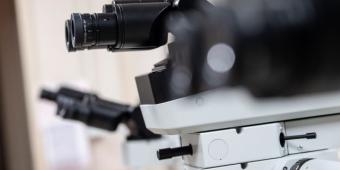 Image of microscopes in pathology gross room